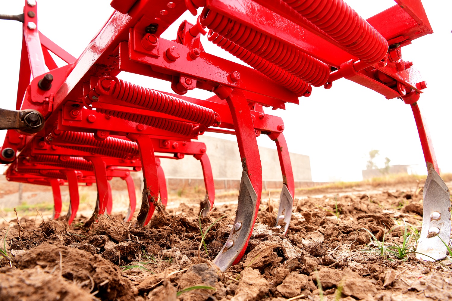 CULTIVATORS FDI Agro